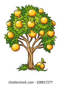 fruit tree vector illustration isolated on white background