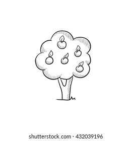 Icono de esbozo vectorial de árbol de frutas aislado en el fondo. Icono de árbol de frutas dibujado a mano. Icono de boceto de árboles frutales para infografía, sitio web o aplicación.