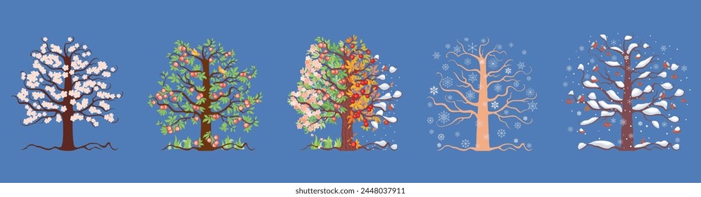 Fruit tree,apple tree,autumn,summer,winter,spring, vector,branches,foliage,birds,decorative,root,snow,cartoon,seasonal,wood,outdoor,set,snowflakes,december,isolated,illustration,tree trunk