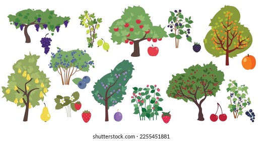 Fruit trees and berry bushes flat icons set. Fresh organic tasty cherry, strawberry, apricot, blackberry and blueberry. Garden plants cultivation. Color isolated illustrations