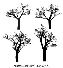 Fruit trees. Branches and shrubs. Forest trees. Vector illustration of garden trees
