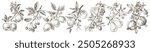 Fruit trees branches vector illustration