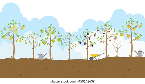 Fruit Trees. Garden. Icon Set. Vector Illustration