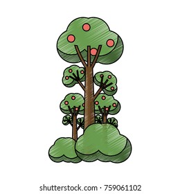 fruit trees iocn over white background colorful design vector illustration