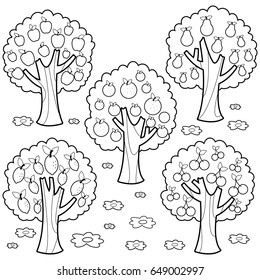 Fruit trees. Set of fruit orchard trees. Apple, Pear , orange , lemon  and cherry tree in the farm or garden. Vector black and white coloring page 