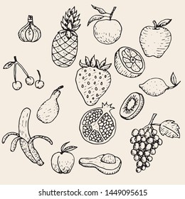Fruit varieties , Hand Drawn Vectors