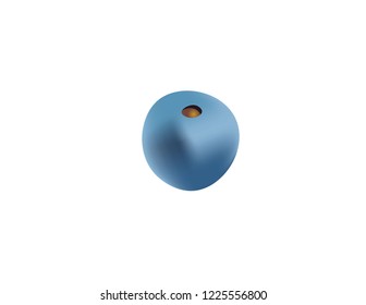 Fruit vector. Blueberry