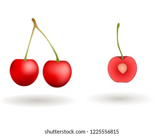 Fruit vector. Cherry vector