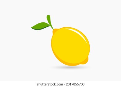 Diseño de ilustraciones coloreadas vectoriales de frutas