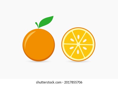 Fruit vector colorful illustration design