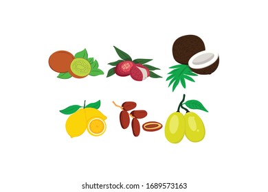 Fruit Vector Design Illustration Bundle