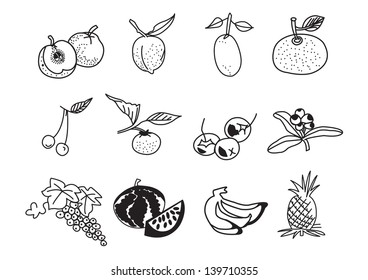 Fruit vector, drawing and sketching