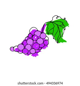 fruit, vector, grape, leaf, illustration, healthy, food, wine, organic, nature