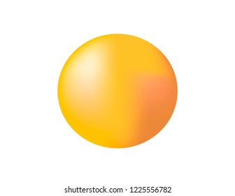 Fruit vector grapefruit