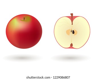 Fruit vector. The half of apple and the whole one