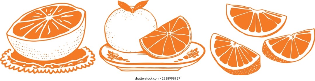 Fruit Vector Hand Drawn Collection Set