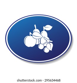 Fruit vector icon