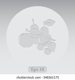 Fruit vector icon