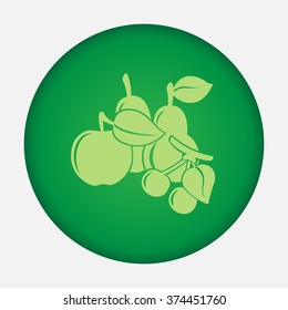 Fruit vector icon