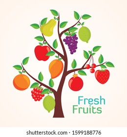 Fruit Vector icon or Background with colorful flat design, Fresh and healthy concept, stylish, cute and trendy design