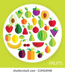 fruit vector illustration