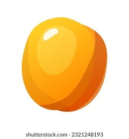 Ilustración vectorial de frutos de albaricoque