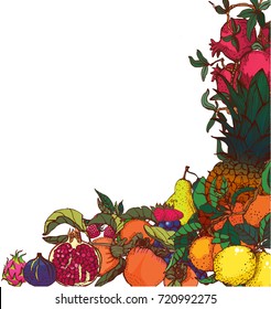 fruit, vector, illustration, area ,banner, pineapple,grapes,pear,lemon,figs,tangerine, place for text,white background