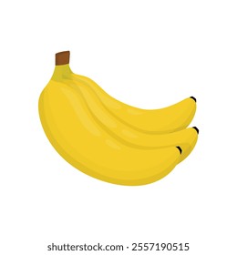 Fruit Vector Illustration - Banana