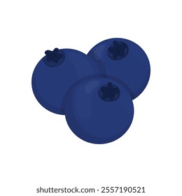 Fruit Vector Illustration - Blueberry