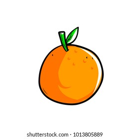 Fruit vector illustration colorfull orange