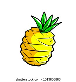 Fruit vector illustration colorfull pineapple