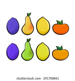 fruit vector  illustration - lemon, apple, plum, tangerine