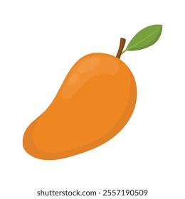 Fruit Vector Illustration - Mango