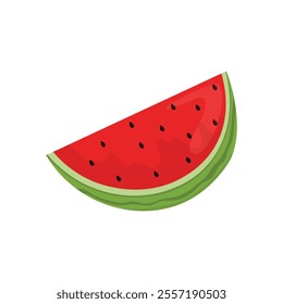 Fruit Vector Illustration - Watermelon