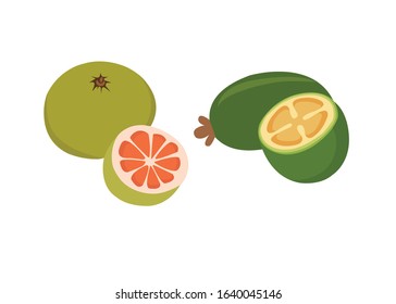 Fruit Vector Illustrations - Vector isolated icons illustration