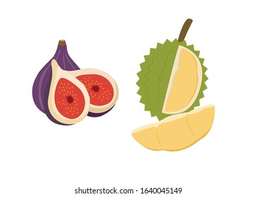 Fruit Vector Illustrations - Vector isolated icons illustration