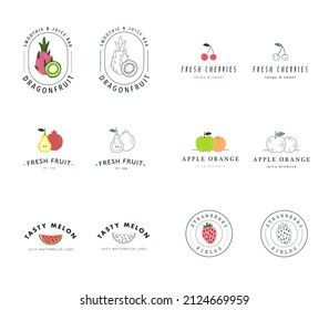 Fruit Vector Logos Designs. Fruit produce logos, line drawing. Dragonfruit, strawberry, kiwi, apple, orange, watermelon, cherries, pear.