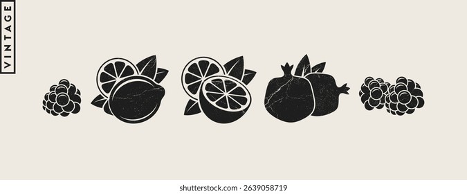 Fruit vector. Vintage style lemon lime pomegranate raspberry and orange fruit. Vegan food icon