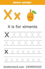 Fruit and vegetable alphabet writing for preschool kids. Letter X is for ximenia.