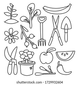 fruit, vegetable and farm equipment vector elements hand drawn doodle line theme