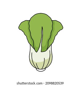 Fruit vegetable in flat hand drawn style design