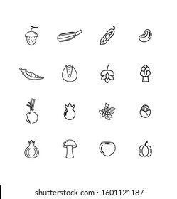 Fruit and vegetable icon set vector design