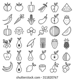 Fruit and Vegetable icons set. Vector illustration