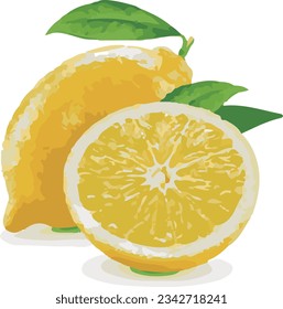 Archivo vectorial de ilustración de frutas y verduras