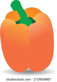 fruit or vegetable peppers vector