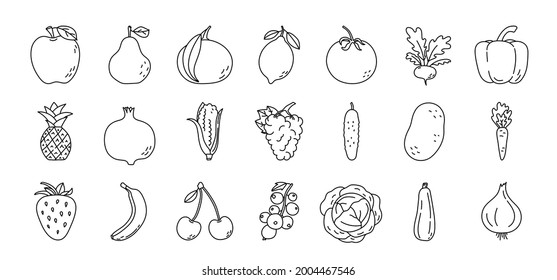 Fruit and vegetable sketch. Pineapple, apple, pear and tangerine. Radish, pepper, pomegranate and corn. Grape, cucumber, potato and banana. Black line icon collection. Vector illustration set