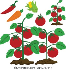 Obst und Gemüse Garten Vektorgrafik-Clipart