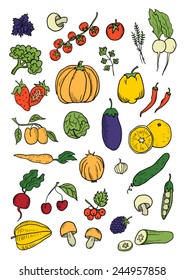 Fruit and Vegetables hand drawn color set