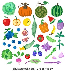 Fruit and vegetables illustration set. Apple, radish, pumpkin, tomato, cucumber, cabbage, squash, bell pepper, garlic, chili, lettuce, courgette, berry, fig, watermelon, blueberry, eggplant, herbs, strawberry, peppermint, zucchini, asparagus, blackberry, basil, cantaloupe melon, bitter gourd, rainbow chard, sage, paprica