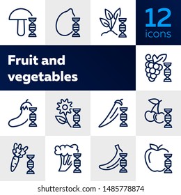 Fruit and vegetables line icon set. Set of line icons on white background. Grocery concept. Mushroom, carrot, cherry, apple. Vector illustration can be used for topics like eating, food, healthcare
